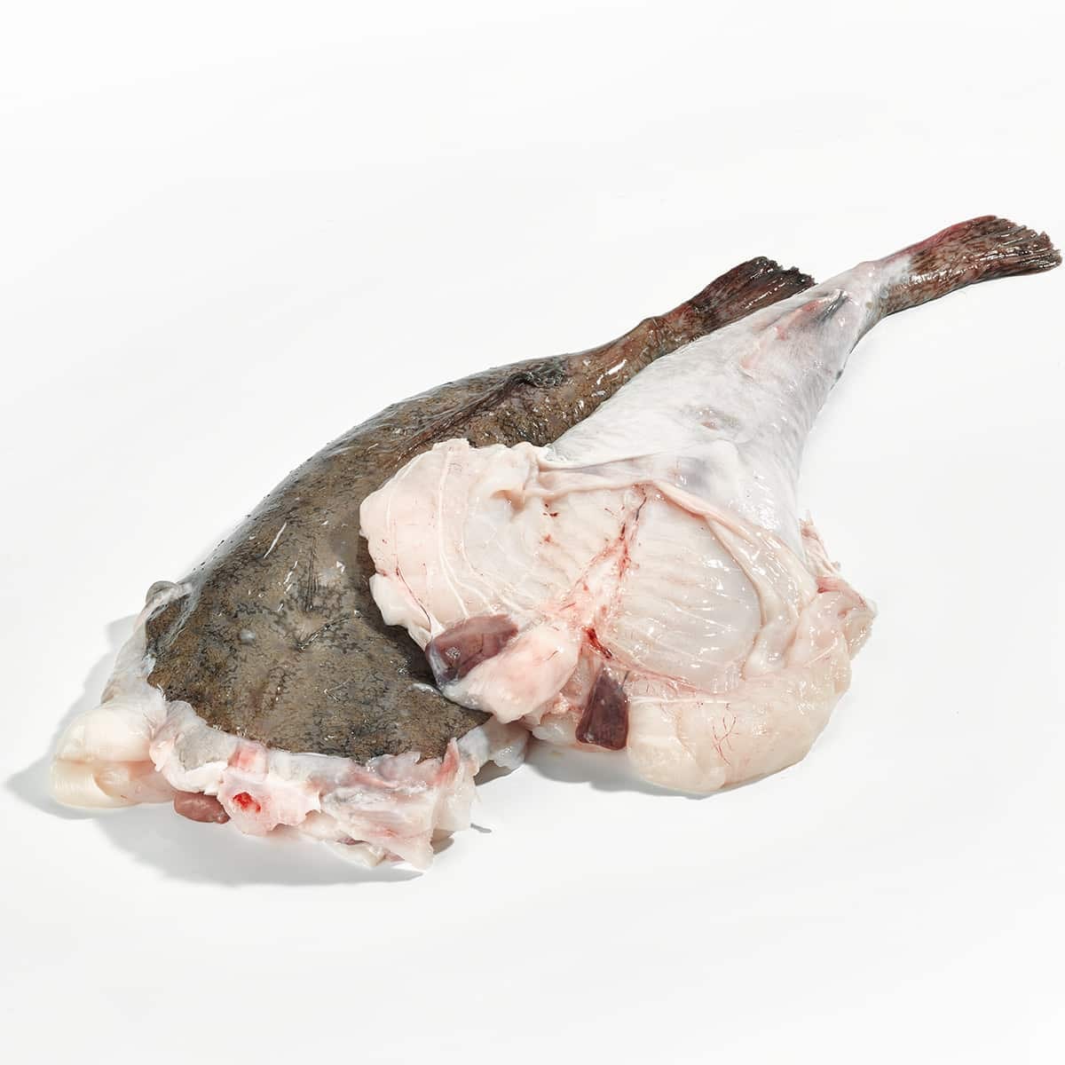 Fresh Monkfish Tail