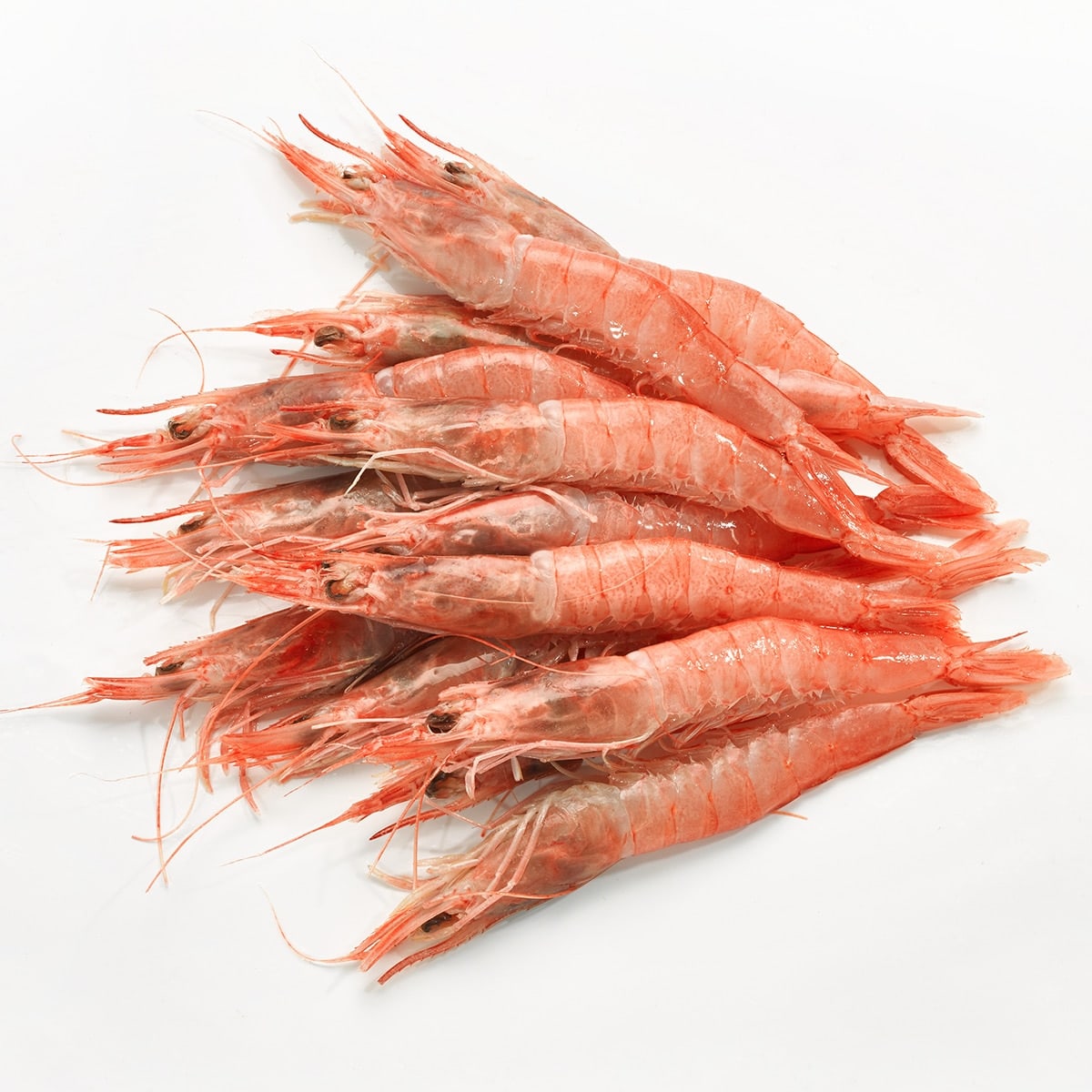 Fresh Sóller Red Prawns