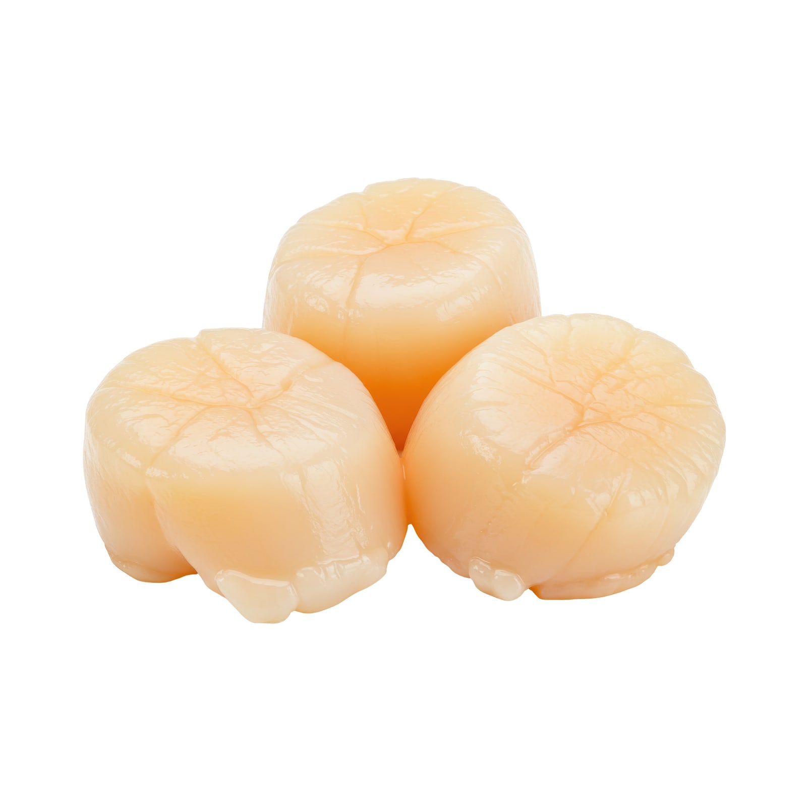 Jumbo Hokkaido Scallops U10