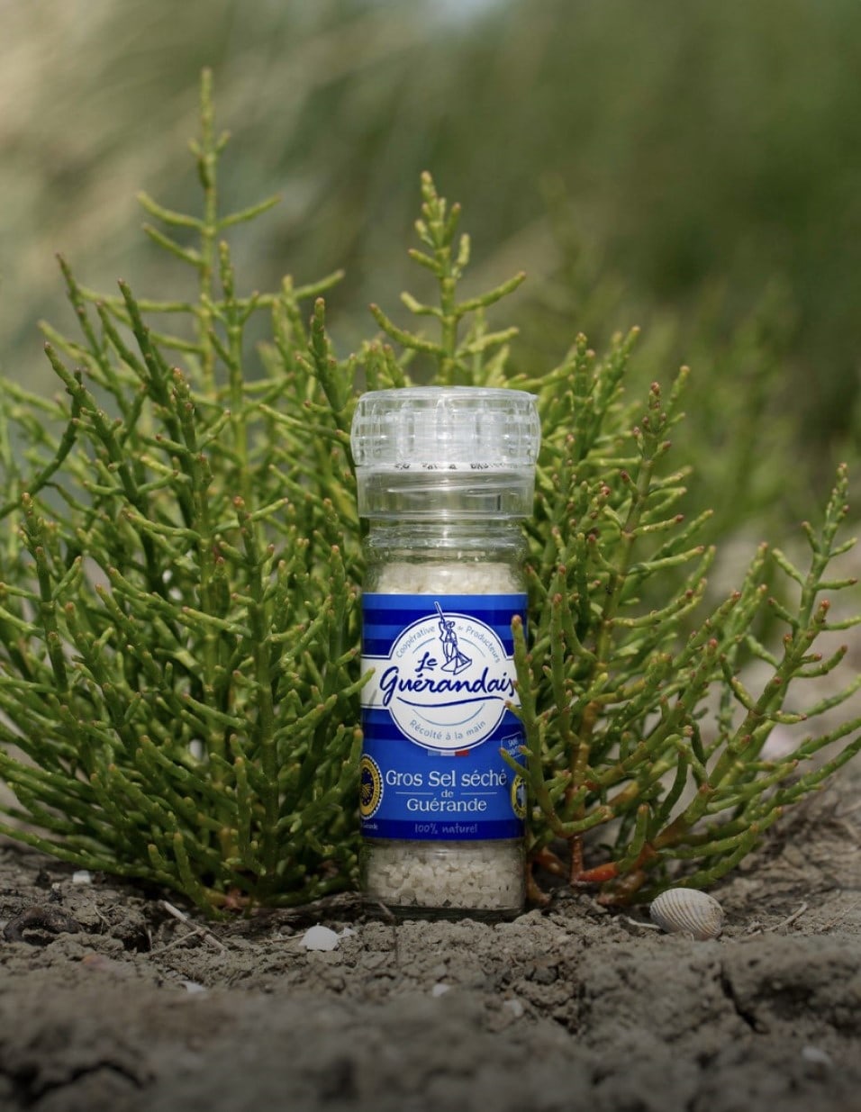 Le Guérandais Coarse Sea Salt from Guérande 500 g